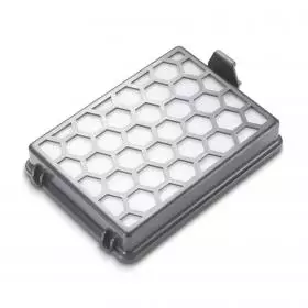 Filtro Higienico  Karcher Hepa 13.