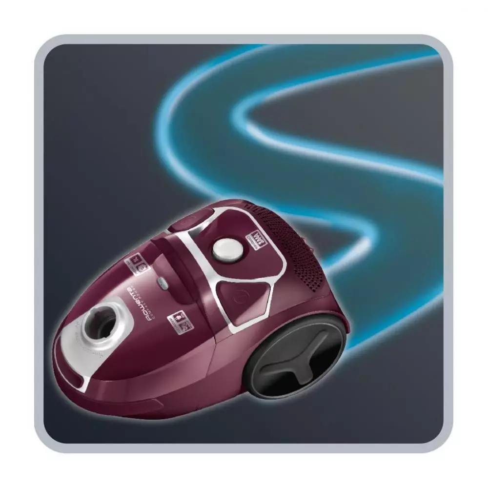 Aspirador de trineo Rowenta 003702200047 750 W Con Bolsa